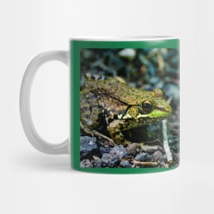 Frog Mug